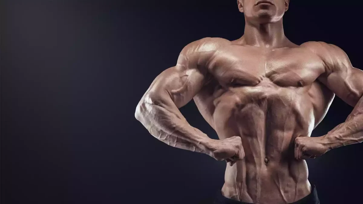 إعادة تشكيل الجسم: بناء العضلات وفقدان الدهون في نفس الوقت