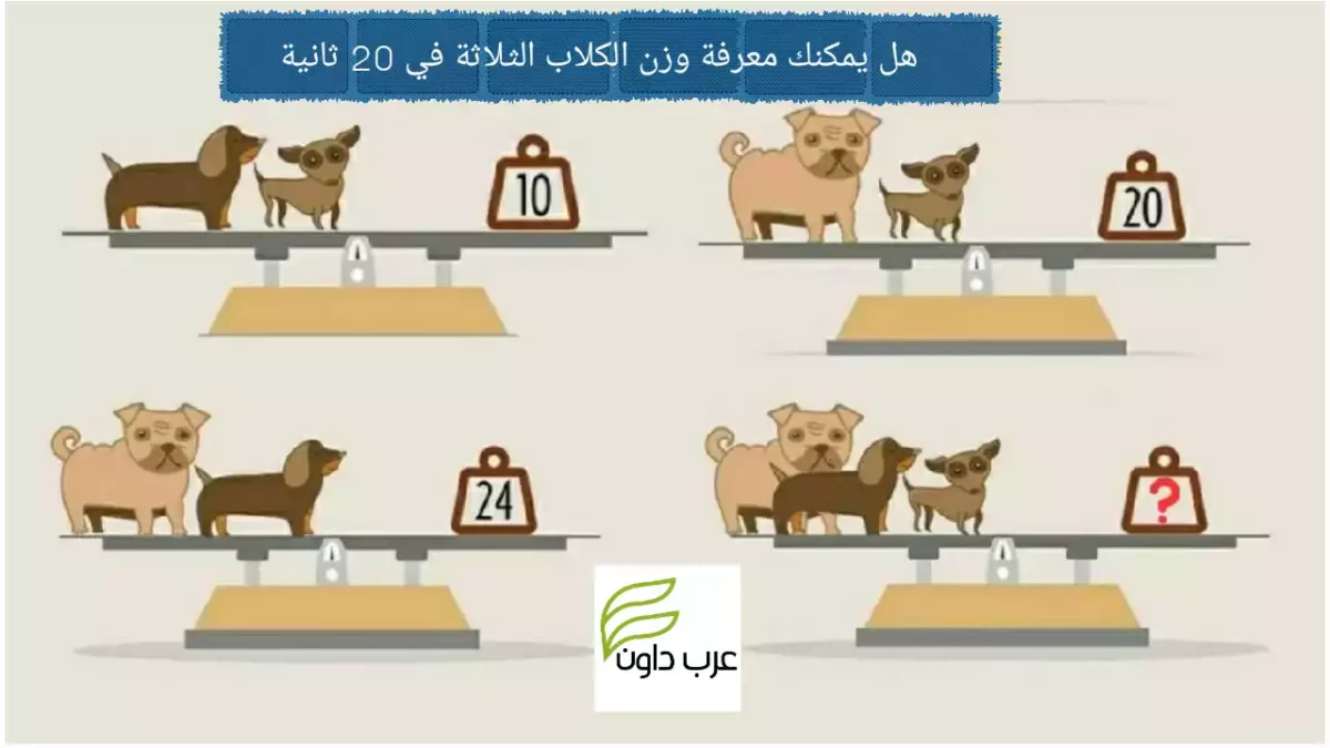 مستوى ذكائك اعلى من الآخرين إذا تمكنت من معرفة وزن الكلاب الثلاثة في 20 ثانية
