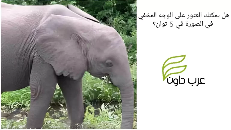 هل يمكنك العثور على الوجه المخفي في الصورة في 5 ثوان؟