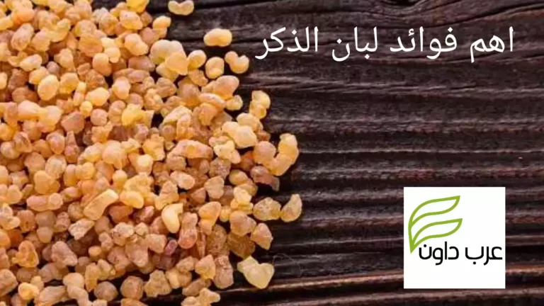 ١٢ من اهم فوائد لبان الذكر