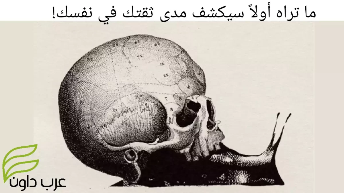 ما تراه أولاً سيكشف مدى ثقتك في نفسك!
