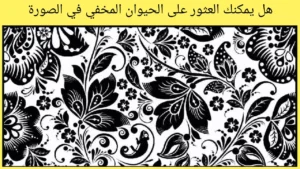 هل يمكنكم اكتشاف الحيوان المخفي في الصورة! اشك انكم تستطيعون