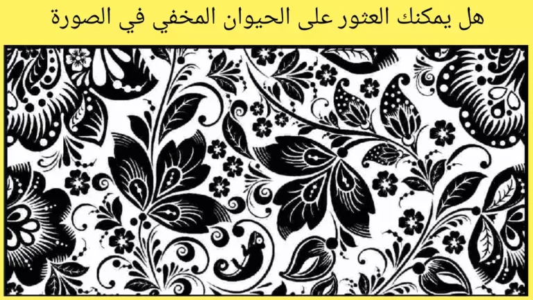 هل يمكنكم اكتشاف الحيوان المخفي في الصورة! اشك انكم تستطيعون