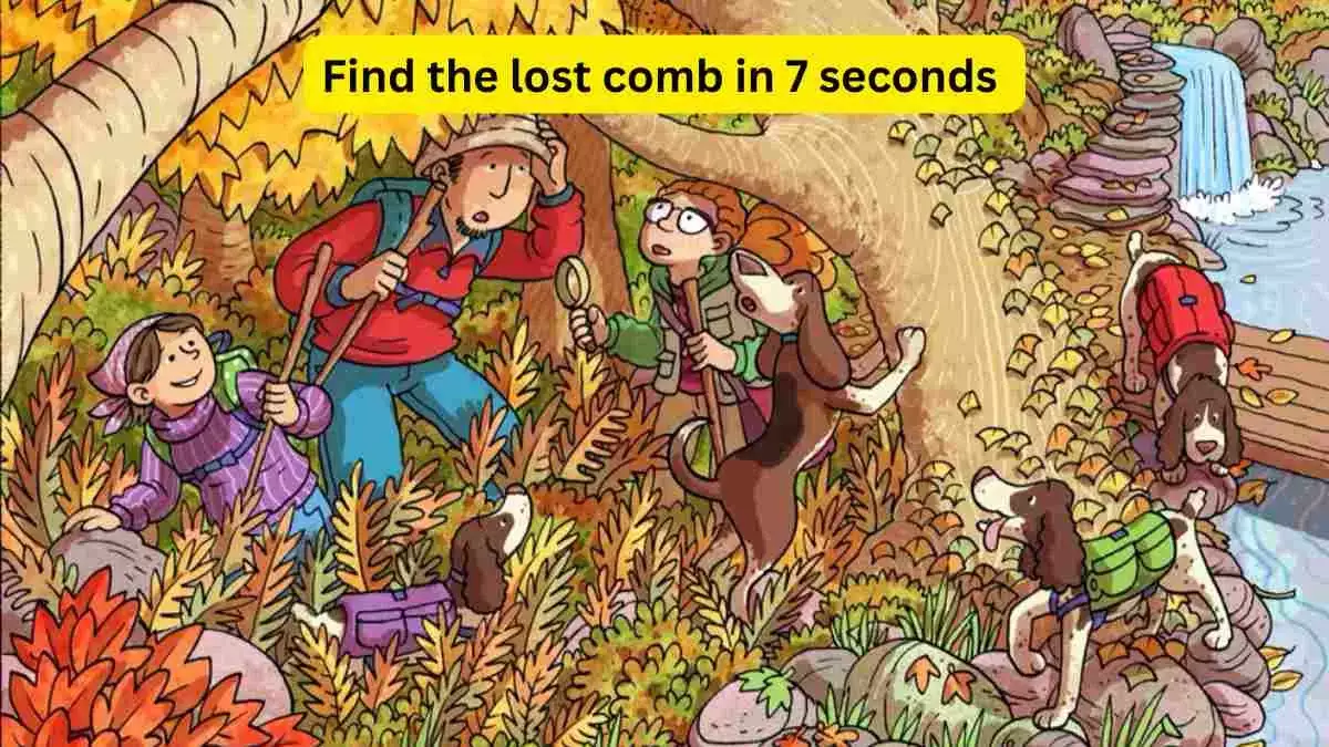 هل يمكنك اكتشاف المشط المفقود في الحديقة في غضون 7 ثوانٍ؟ اختبر مهاراتك في الملاحظة!