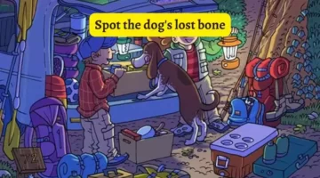 تحدي تحفيز الدماغ: يمكن للأشخاص ذوي العيون النسر فقط اكتشاف عظم الكلب المفقود عند النار في 6 ثوانٍ!