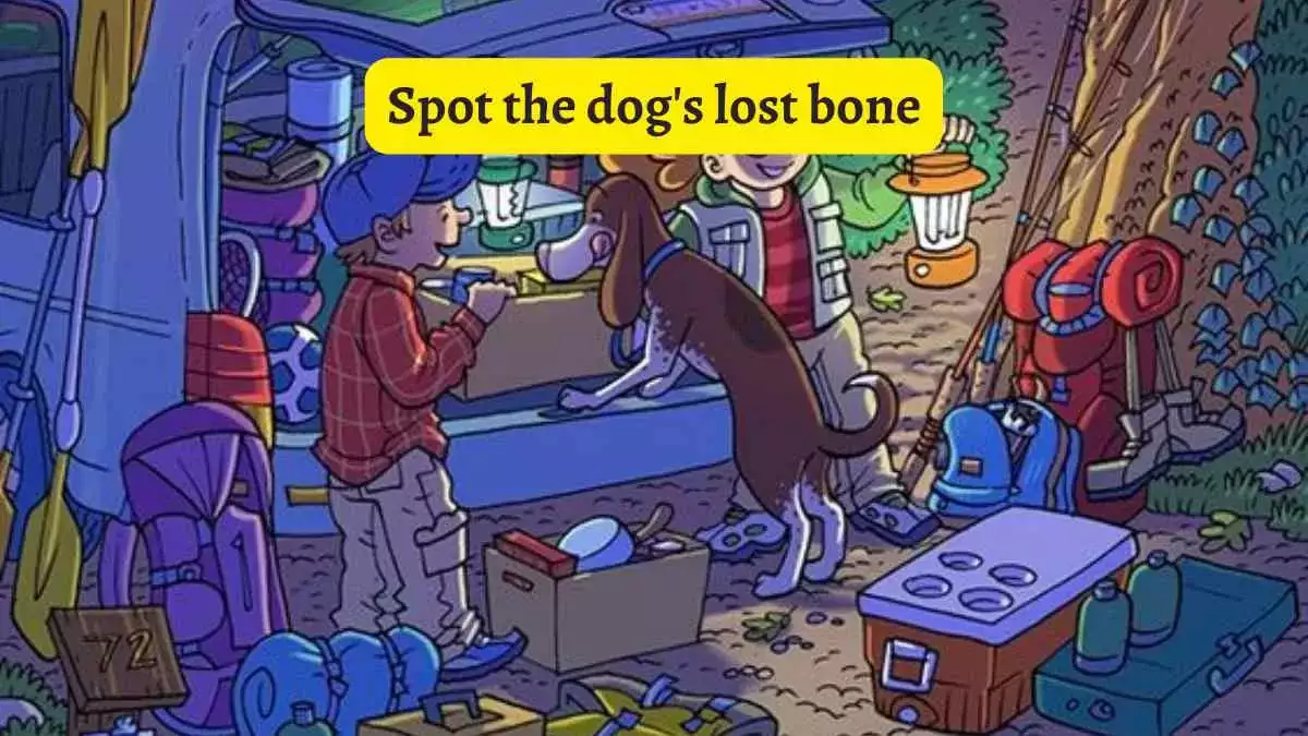 تحدي تحفيز الدماغ: يمكن للأشخاص ذوي العيون النسر فقط اكتشاف عظم الكلب المفقود عند النار في 6 ثوانٍ!