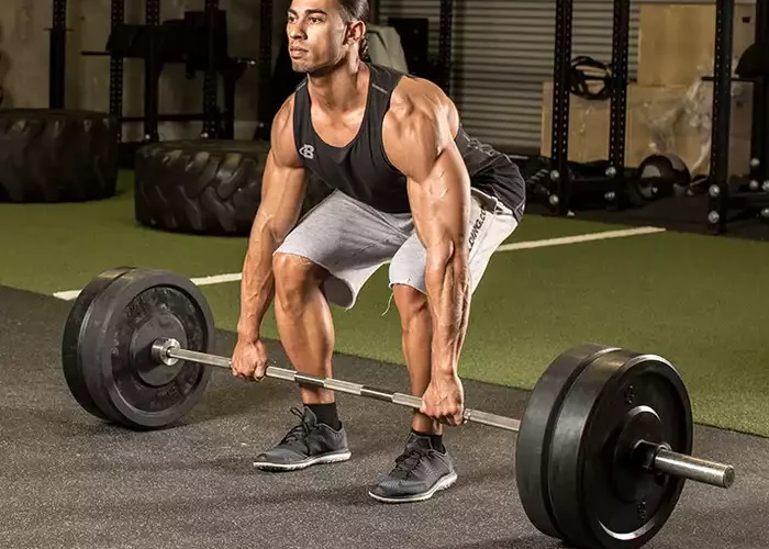 8 أفضل مكملات رياضية لبناء العضلات