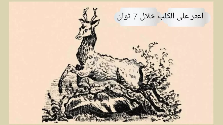 هل يمكنك اكتشاف الكلب المخفي في الصورة خلال 7 ثوان؟