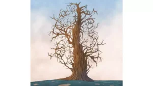 يمكن فقط للأشخاص الأكثر انتباهاً اكتشاف ثلاثة أرانب في 7 ثوانٍ!