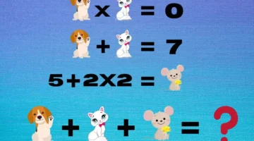 لغز الرياضيات: كم من الوقت ستستغرق للعثور على الحل؟