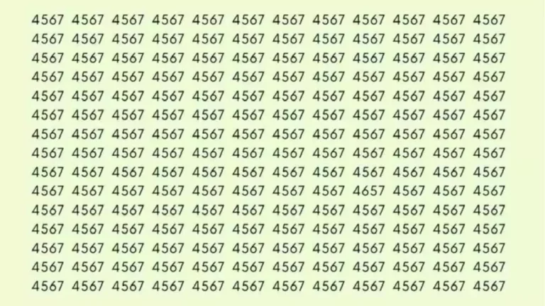 من لدية عيون النسر فقط يمكنه تحديد الرقم 4657 خلال 3 ثوان!