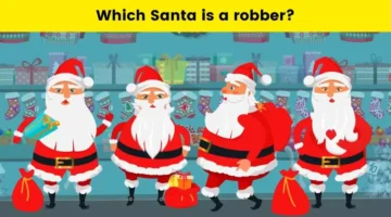 ضع مهاراتك البوليسية في الاختبار واكتشف أي بابا نويل هو الص في 5 ثوانٍ