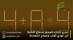 تحدي الذكاء المحفز للدماغ: 4+8=9 أزل عودي ثقاب لإصلاح المعادلة | ألغاز عود الثقاب
