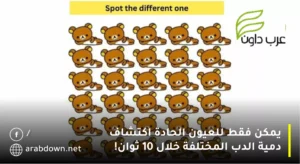 يمكن فقط للعيون الحادة اكتشاف دمية الدب المختلفة خلال 10 ثوان!