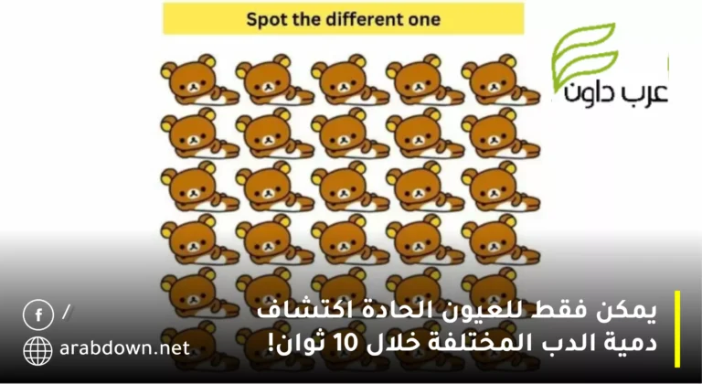 يمكن فقط للعيون الحادة اكتشاف دمية الدب المختلفة خلال 10 ثوان!