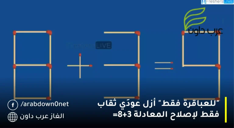 "للعباقرة فقط" أزل عودَي ثقاب فقط لإصلاح المعادلة 8+3=9