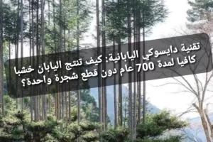 تقنية دايسوكي اليابانية: كيف تنتج اليابان خشبا كافيا لمدة 700 عام دون قطع شجرة واحدة؟