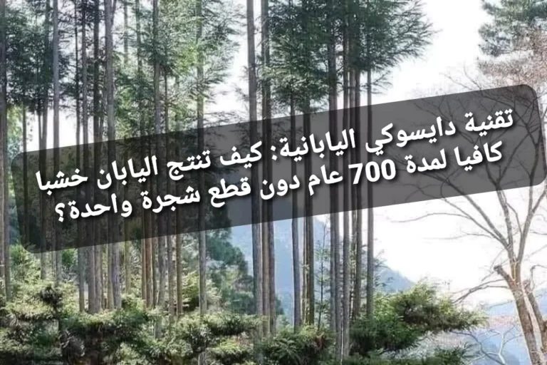 تقنية دايسوكي اليابانية: كيف تنتج اليابان خشبا كافيا لمدة 700 عام دون قطع شجرة واحدة؟