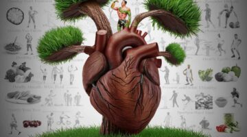 طبيعة أمراض القلب في القرن٢١ :كيفية الوقاية وتحسين الصحة القلبية.