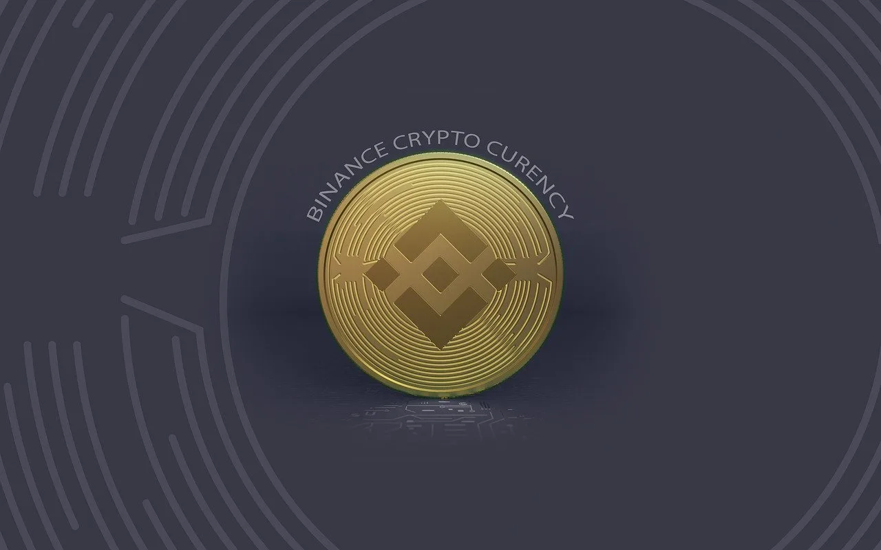 كيف تُصبح محترفاً في عالم العملات الرقمية؟ دليلك الشامل لـ شحن بينانس عبر لاس باي