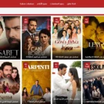 قصة عشق: بوابتك الأولى لعالم الدراما التركية الساحر