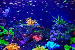استرجع ذكريات الطفولة مع Spirit Aquarium: محاكي حوض السمك المجاني للآيفون