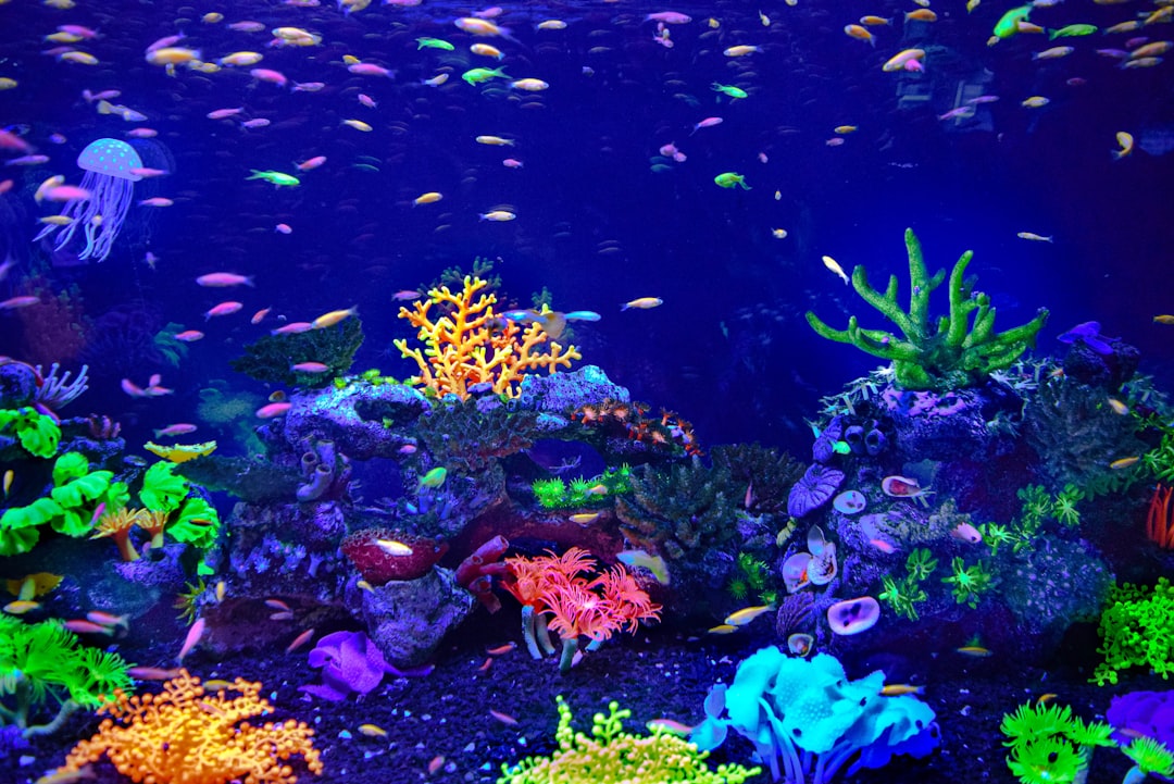 استرجع ذكريات الطفولة مع Spirit Aquarium: محاكي حوض السمك المجاني للآيفون