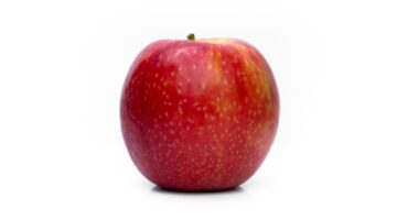 لعبة Dredge: إضافة مهمة لخدمة Apple Arcade